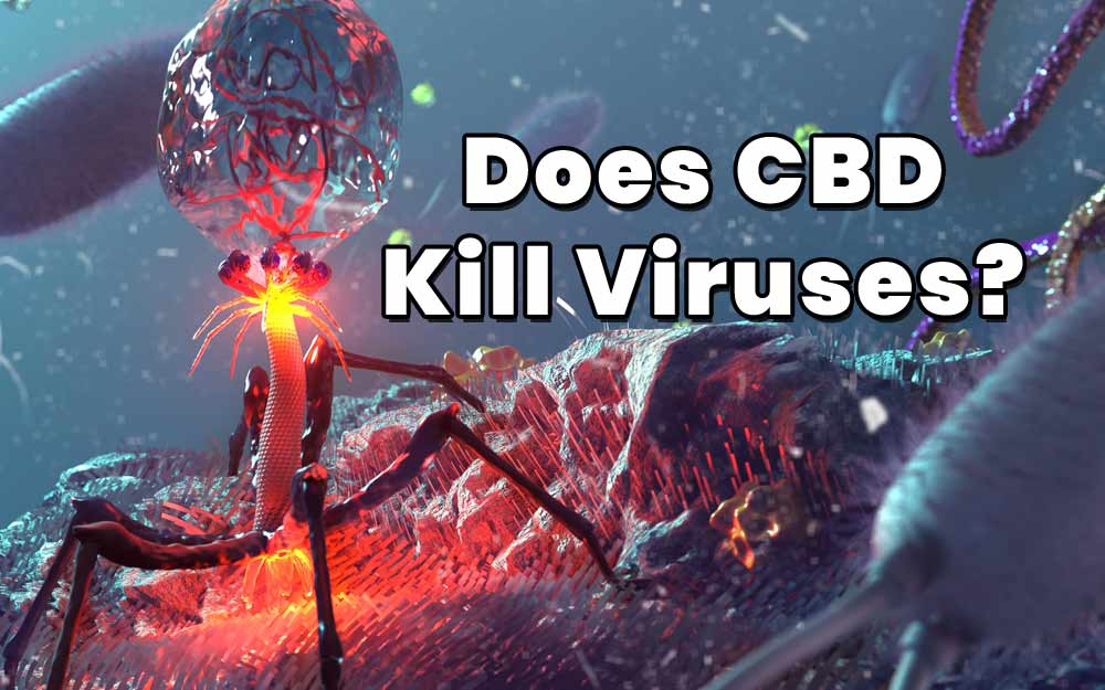 Does CBD Kill Viruses?