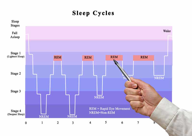 sleep-cycles