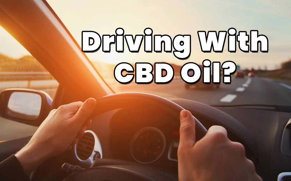 Can You Drive If You Take CBD Oil?