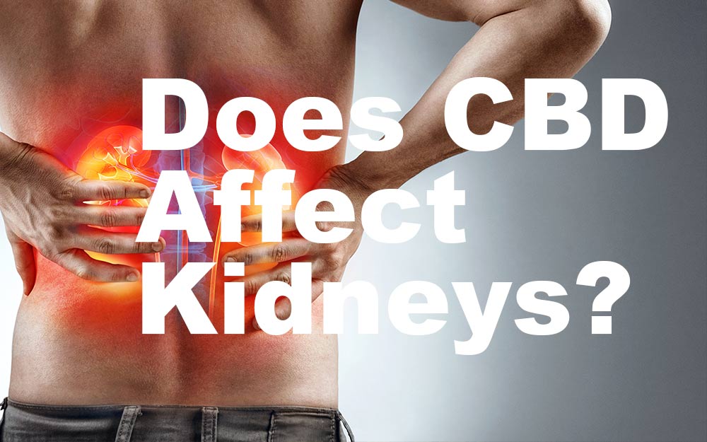 Does-CBD-Affect-Kidneys
