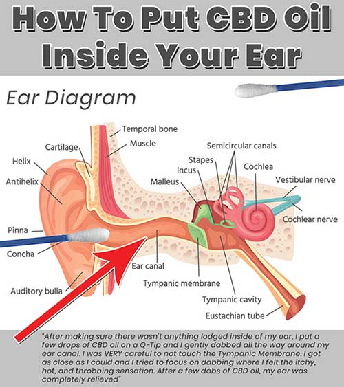 Can cbd help with ear pain