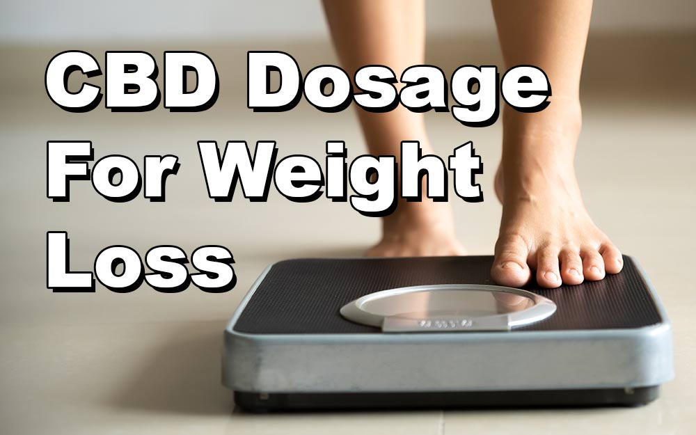 CBD Dosage For Weight Loss: How Much Should You Take?
