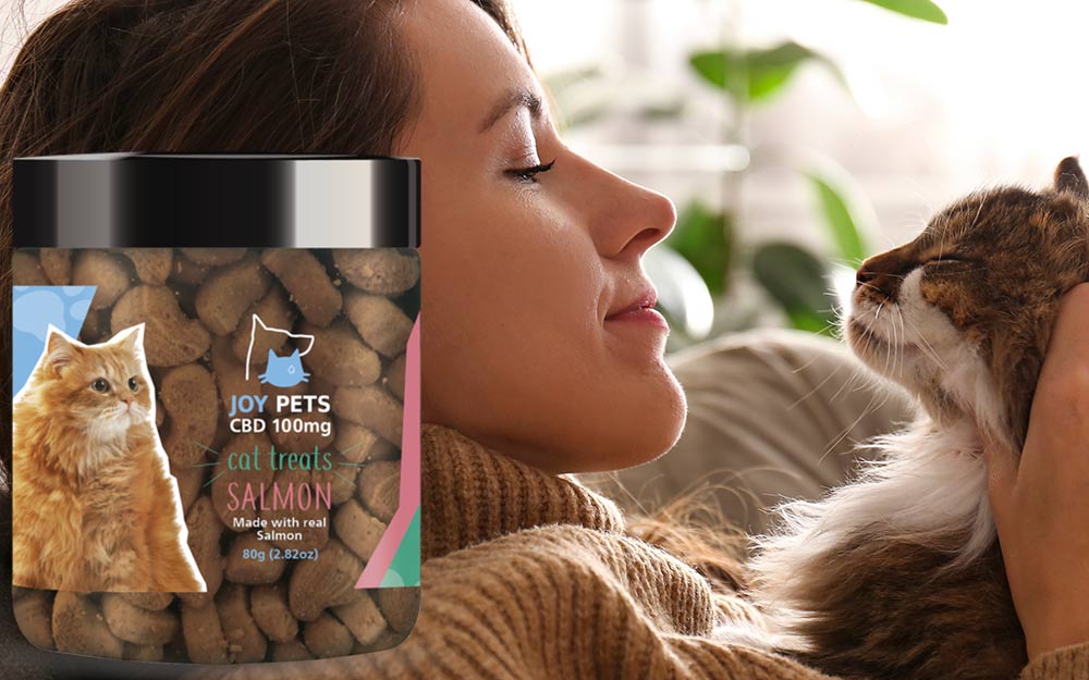 CBD Treats For Cats - Everything You Need To Know 2