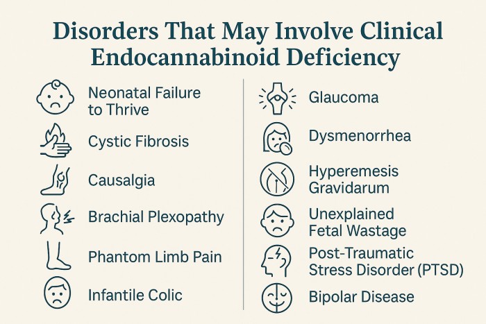 How CBD Works: A Comprehensive Guide To Its Mechanisms In The Body 2 Conditions Potentially Linked to Clinical Endocannabinoid Deficiency (CED)