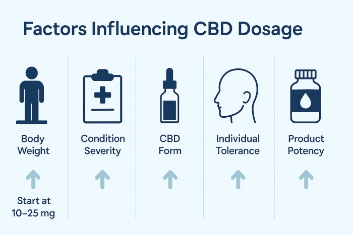 CBD Dosage Guide (2025): How Much To Take For Anxiety, Pain, & Better Sleep 3 Factors Influencing CBD Dosage – Infographic