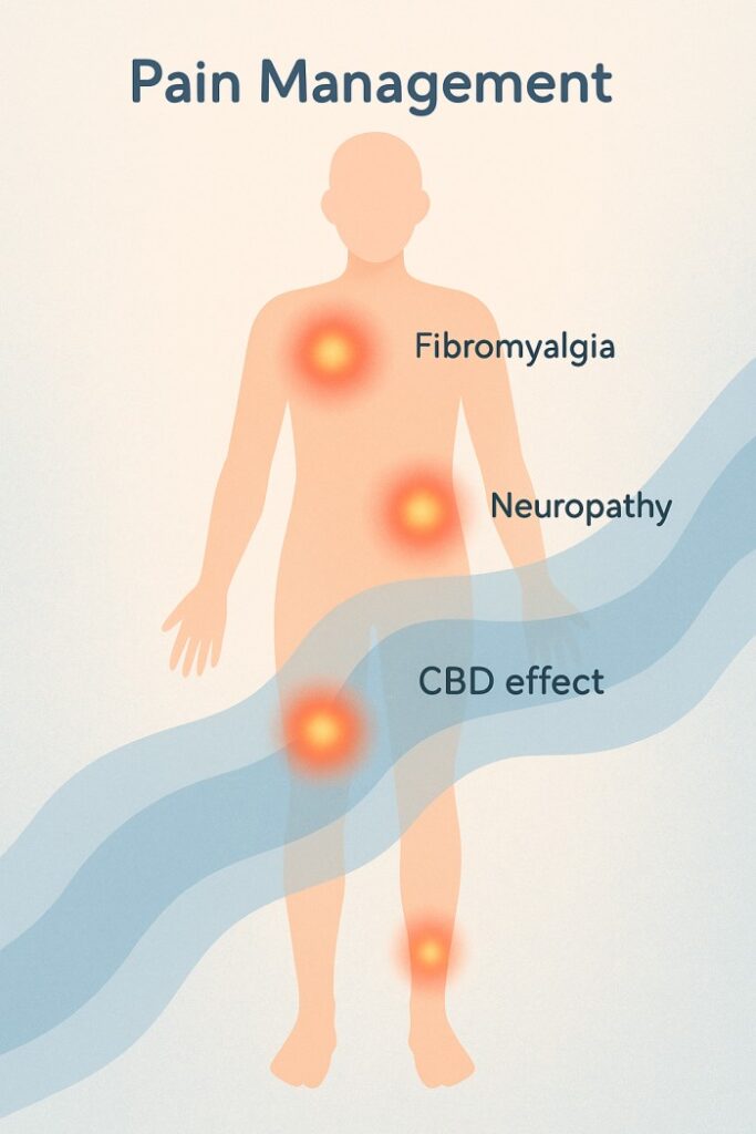 CBD Benefits: Scientific Studies On Anxiety, Pain, & Sleep Relief 3 cbd effects on pain and pain management