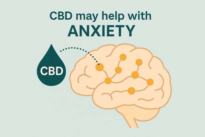 CBD Benefits: Scientific Studies On Anxiety, Pain, & Sleep Relief 2 how CBD might help anxiety